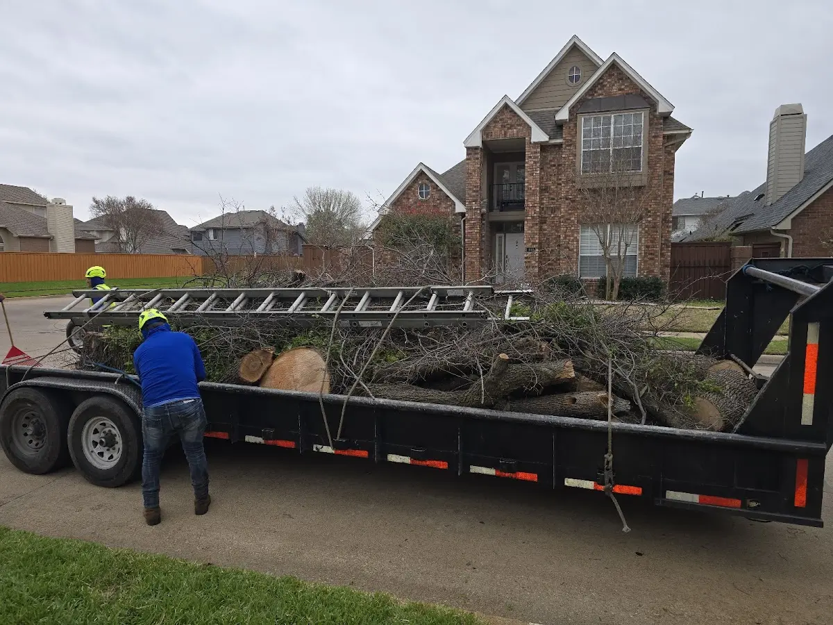 Expert Tree Fertilization with proper safety equipment in Herrick Center